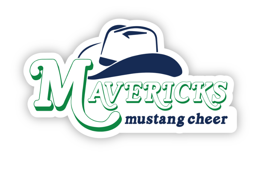 Mavericks Decal