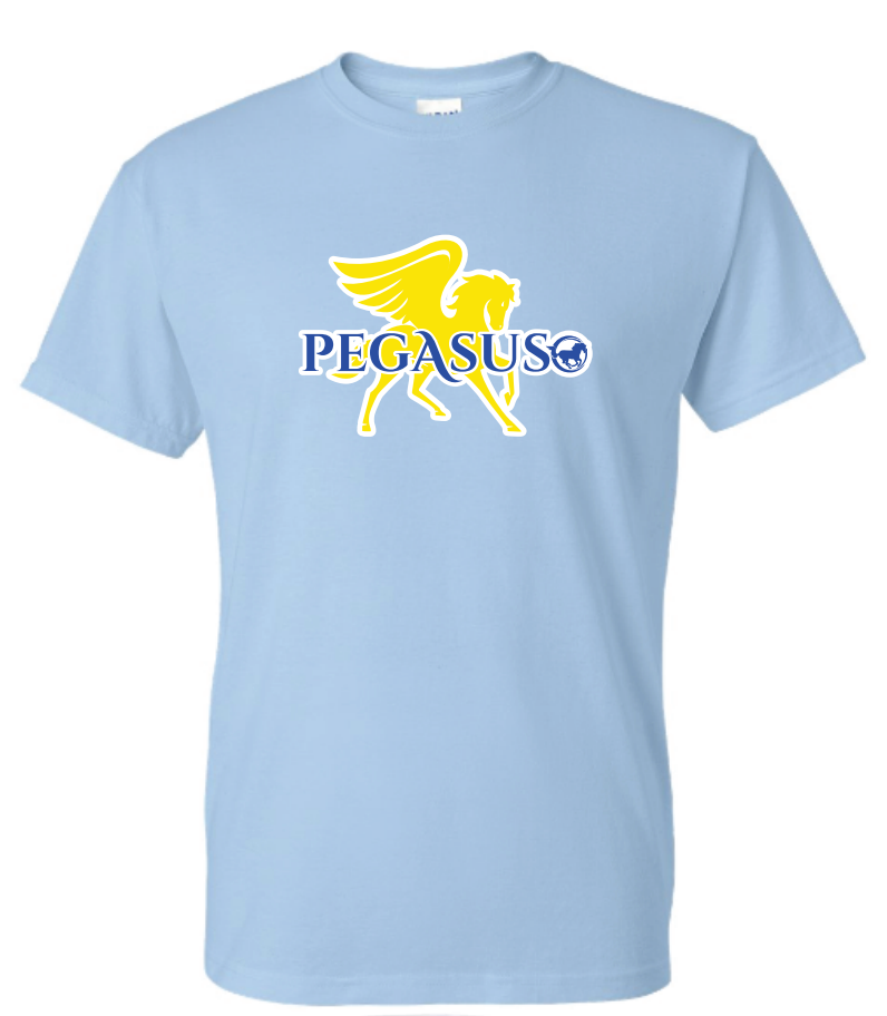 Pegasus Team Gift Tee